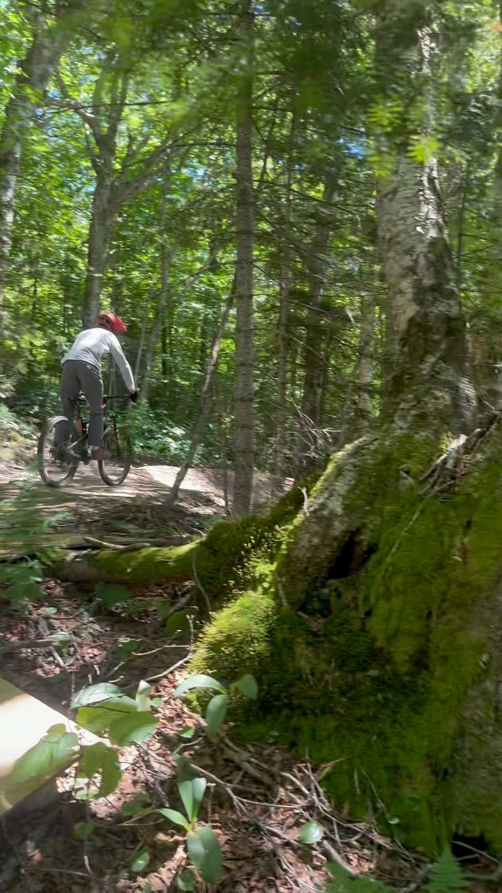 That Vermont sunshine’s got us counting down the days til it’s 75 and sunny and we’re floating down a trail through the trees!