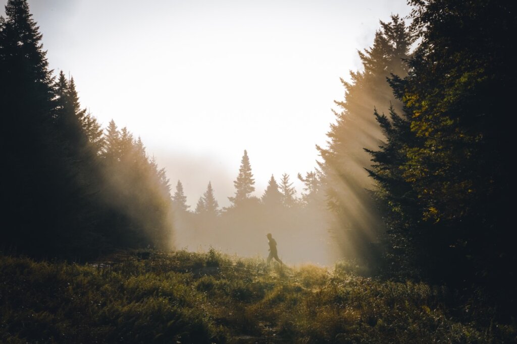 A runner in the misty fog