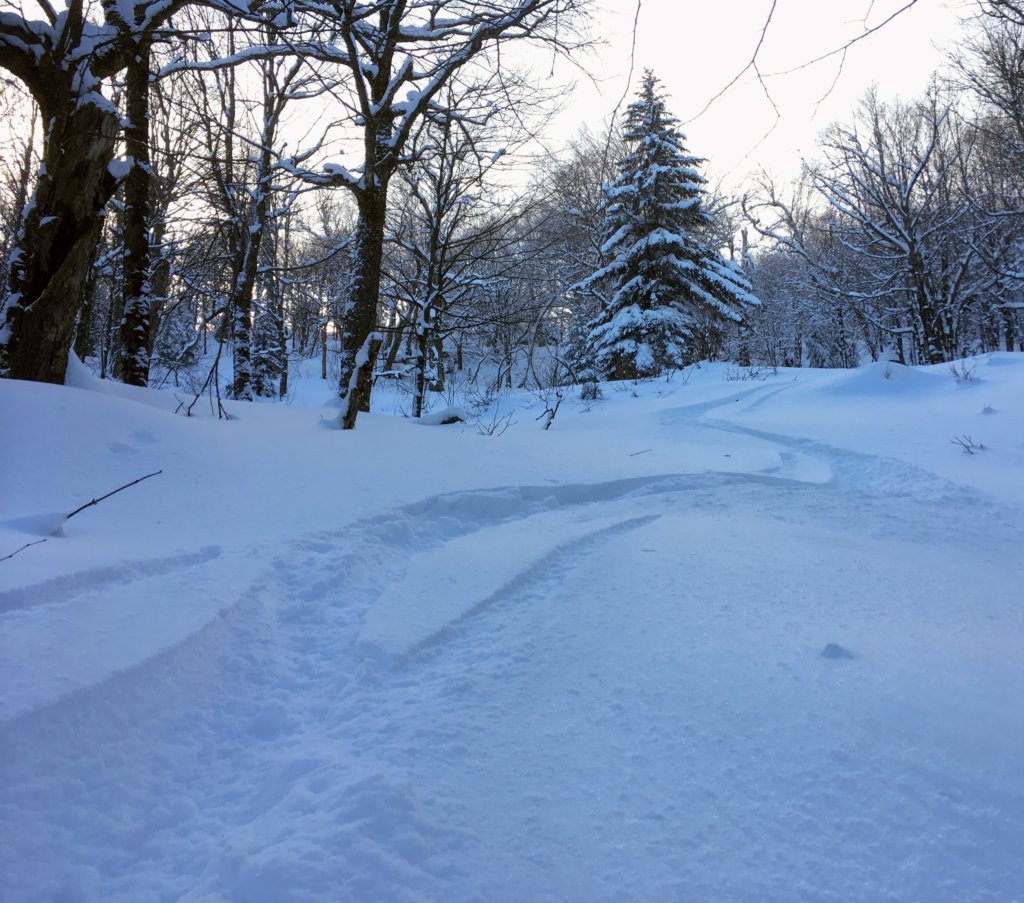 December Powder Snow