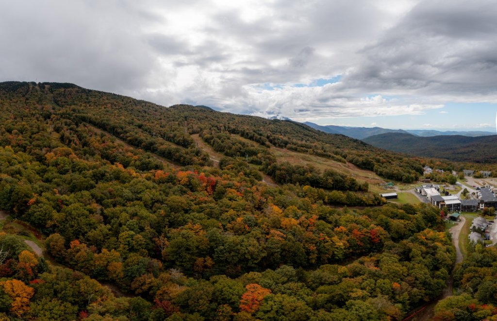 Beautiful Fall Foliage